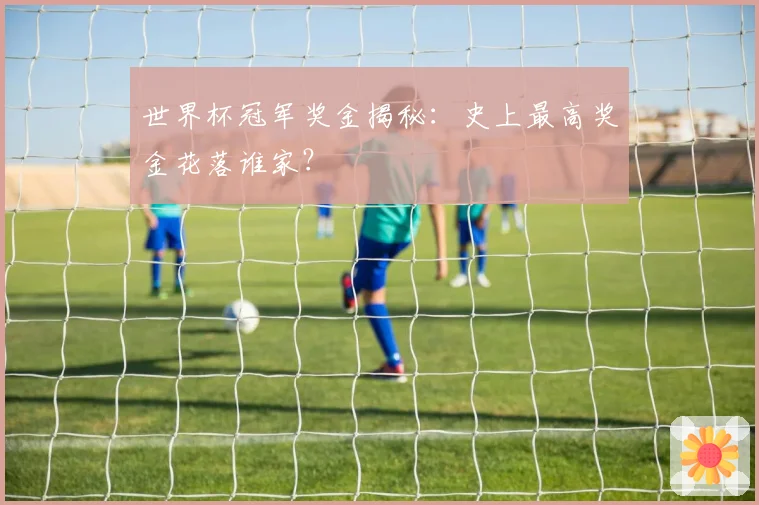 世界杯冠军奖金揭秘:史上最高奖金花落谁家?