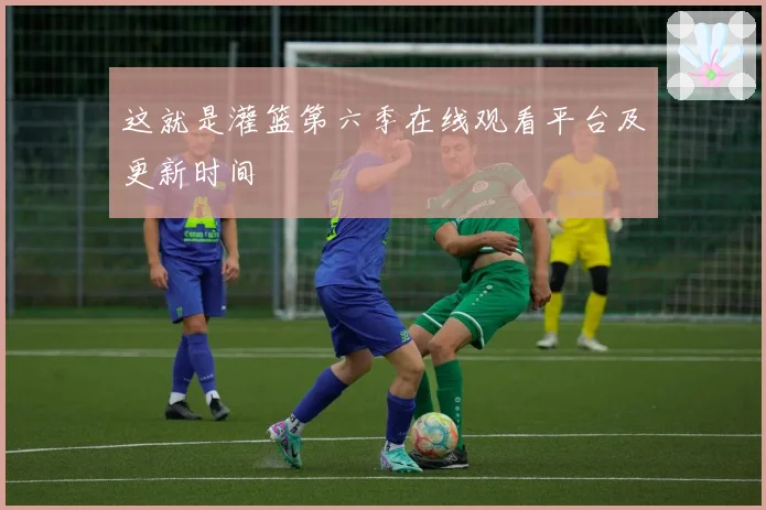 这就是灌篮第六季在线观看平台及更新时间