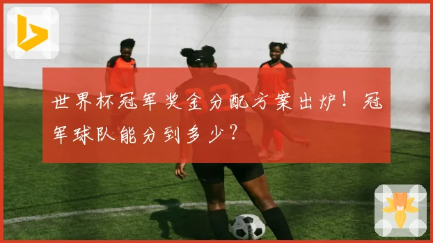 世界杯冠军奖金分配方案出炉!冠军球队能分到多少?