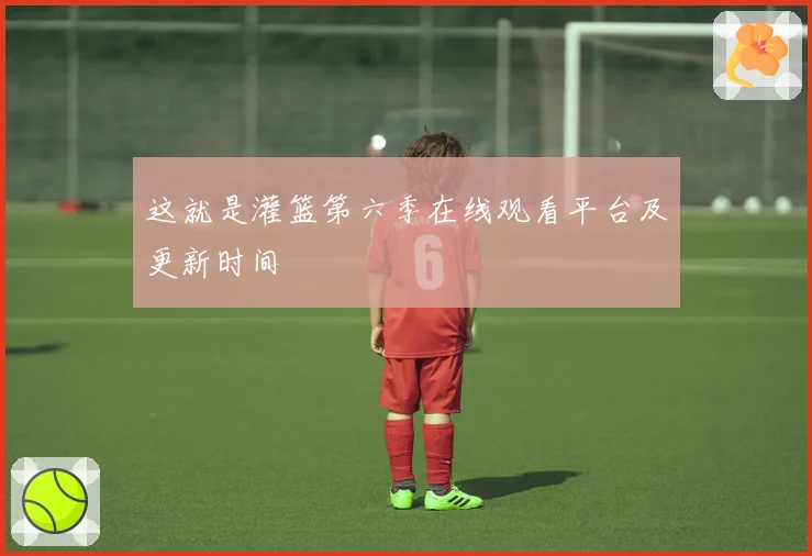 这就是灌篮第六季在线观看平台及更新时间